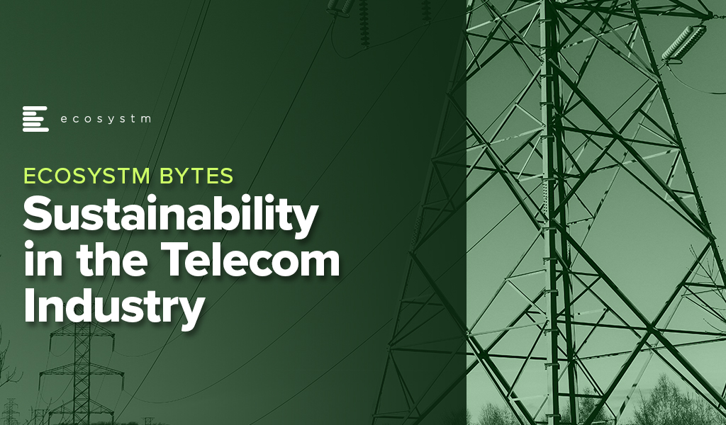 Sustainability in the Telecom Industry