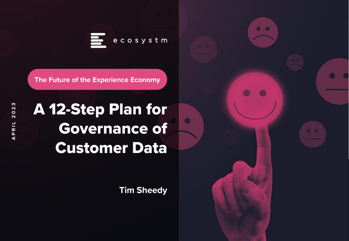 12-Step-Plan-for-Governance-of-Customer-Data-1